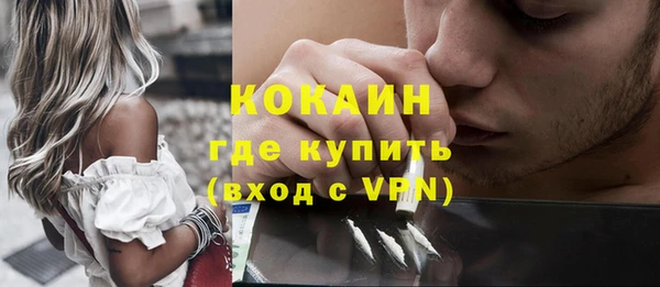 кокс Няндома