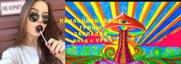ешки Нягань