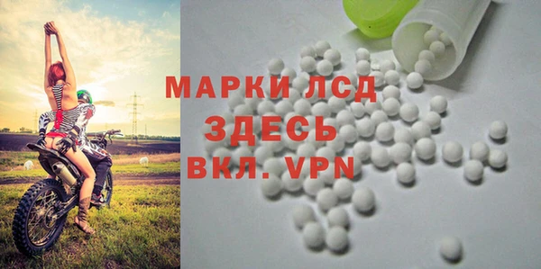 мдма Новозыбков
